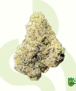 Blue Nerdz – AAA Exotic