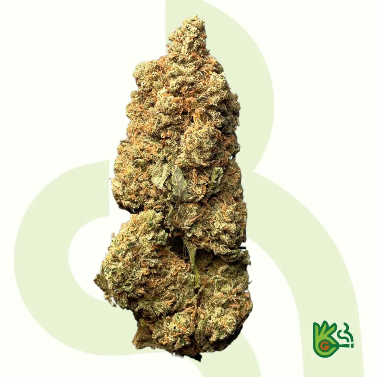 SUPER-SILVER-HAZE Chocolope Haze