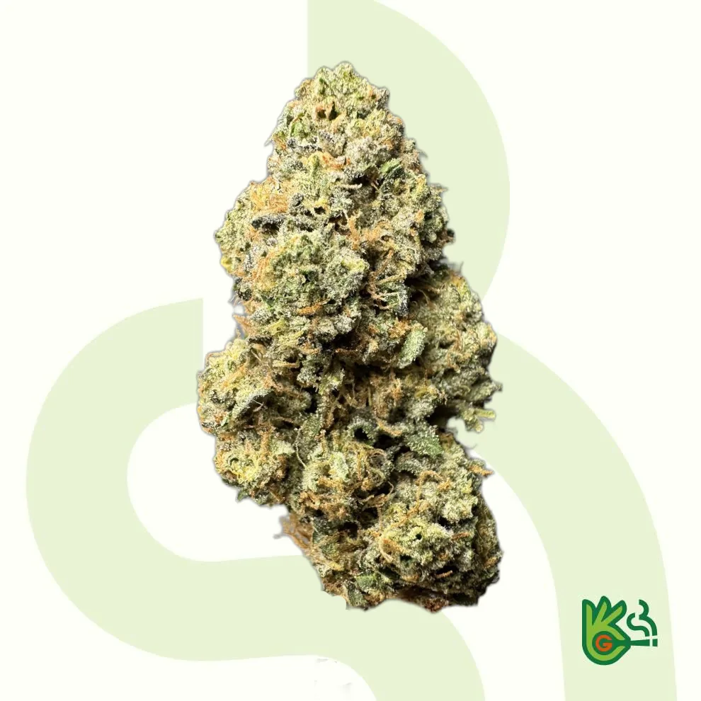 VTZ Vitamin Z – Exclusive
