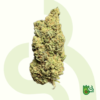 Amnesia Haze