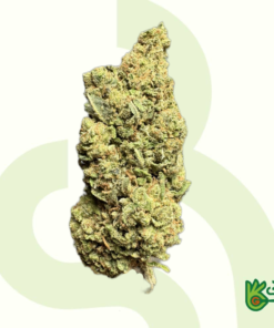 Amnesia Haze