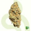 Blue Pebbles – AAA Exotic