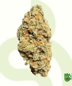 Stardawg
