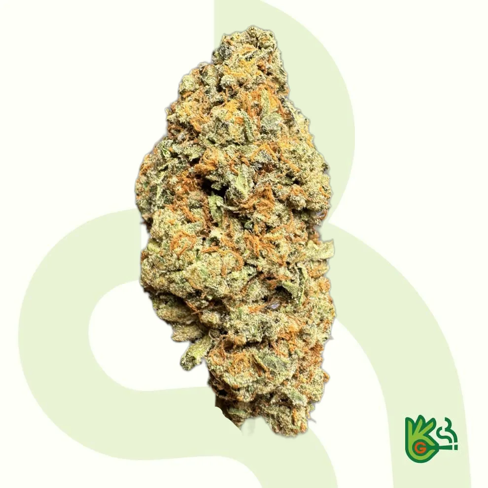 composite-image-14 Stardawg